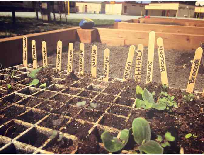 Buy Children Tools to Use in the School Garden