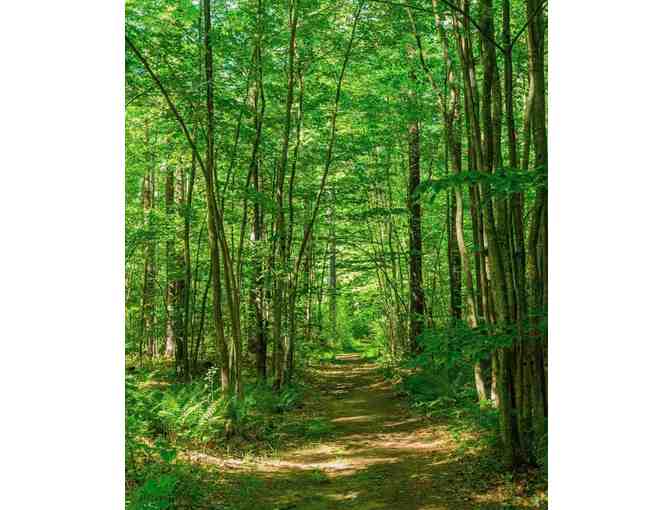 Guided Walk for up to 12 people with Maine Master Naturalist through Hope Woods