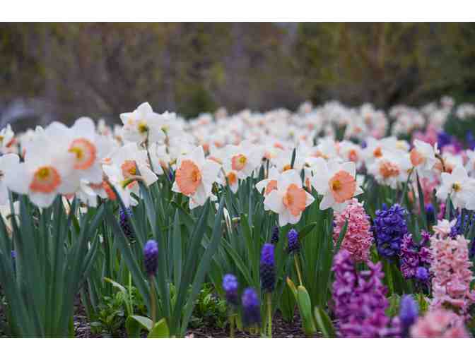 2 Passes to the Coastal Maine Botanical Gardens