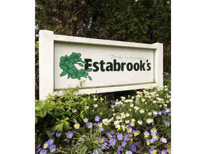 $50 Gift Certificate for Estabrook's Garden Center