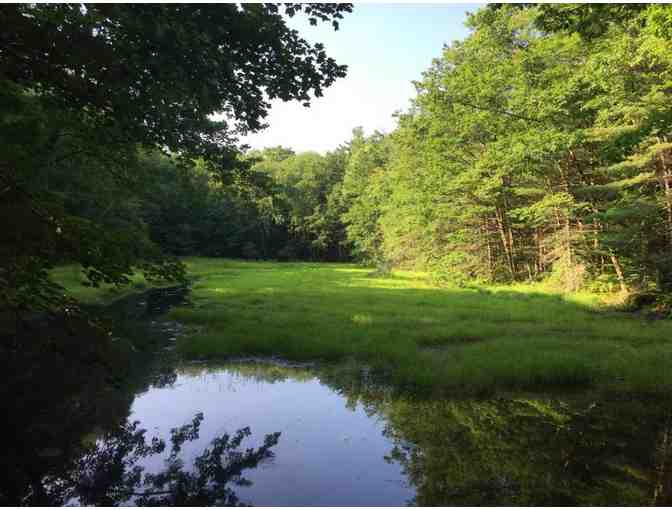Guided Walk for up to 12 people with Maine Master Naturalist through Hope Woods