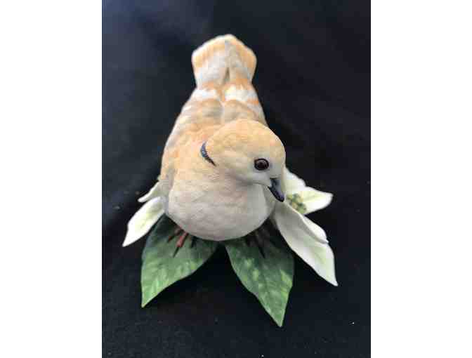 Porcelain Turtle Dove by Lenox