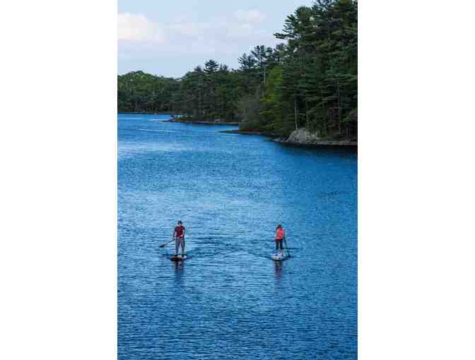 Paddle Board - tour & lesson