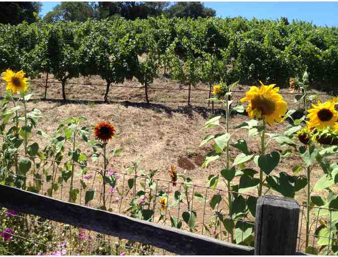 Item 1095 - Leone Wine Tours, Santa Rosa - Six Hour Wine Tour for Six