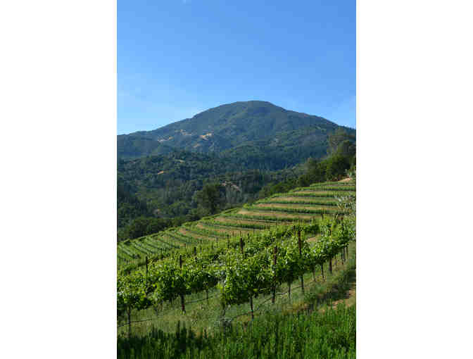 Item 1104 - Jericho Canyon Vineyard, Calistoga - Signed Magnum & 750ml Cabernet & More