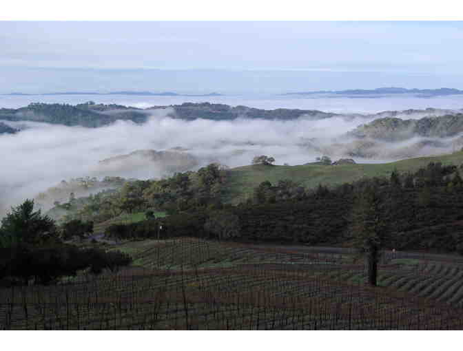 5145 - Private Lunch for Six Adults and Wine, Linked Vineyards, Santa Rosa