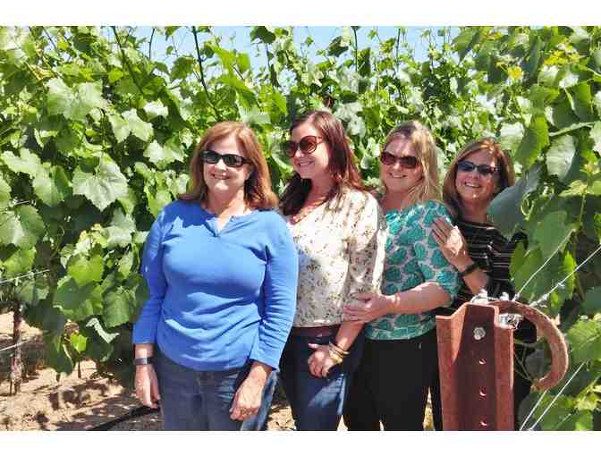 5147 - Seven Hours of Wine Fun for Six, Woody's Wine Tours, Santa Rosa