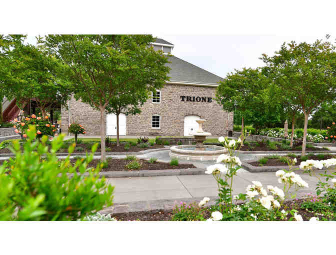 Tour and Tasting for 4 - Trione Vineyards and Winery