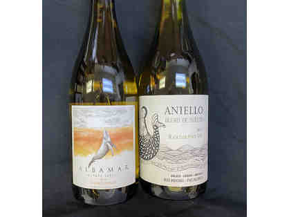 Wines from Argentina and Chile