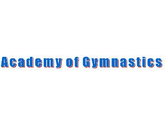 Have your Birthday Party at The Academy of Gymnastics!