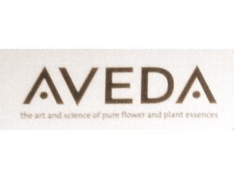 $125 Gift Certificate - Salon Monique Day Spa