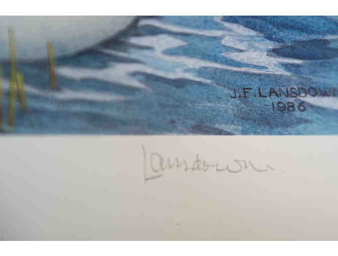 Canvasbacks in Spring by J. F. Landsdowne, 1986 Stamp & Print