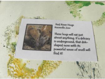 Set of 4 Notecards decorated by Various Knoxville Zoo Artists