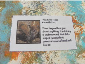 Set of 4 Notecards by Various Knoxville Zoo Artists