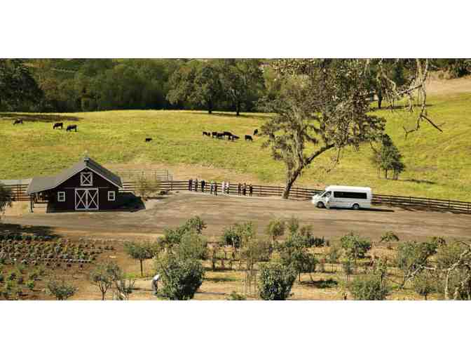 Jordan Vineyard and Winery -- Overnight Stay with Winery Tour and Tasting for Two