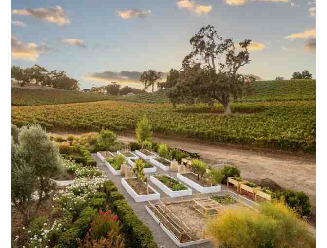 JUSTIN Vineyards & Winery -- Four (4) Guests to an Estate Wine Tasting and Lunch