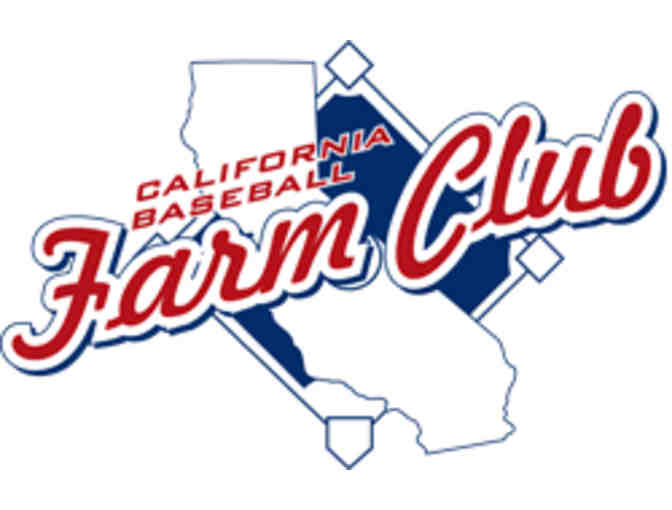 California Baseball Farm Club - 'Step Up to The Plate' for Four Adults