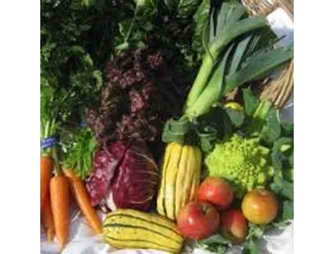 Fresh, Organic Fruits and Vegetables delivered weekly
