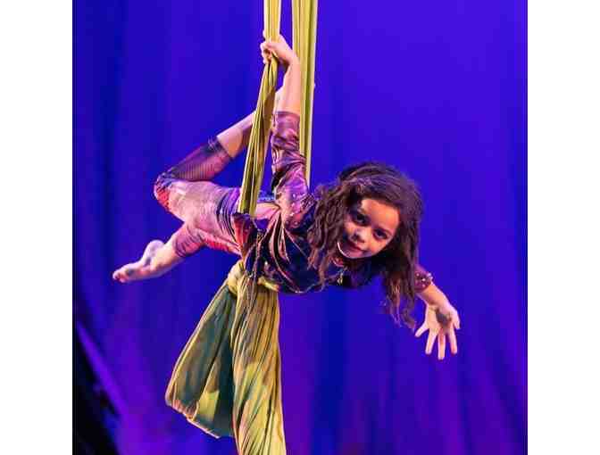 Aerial Arts Private Lessons Package