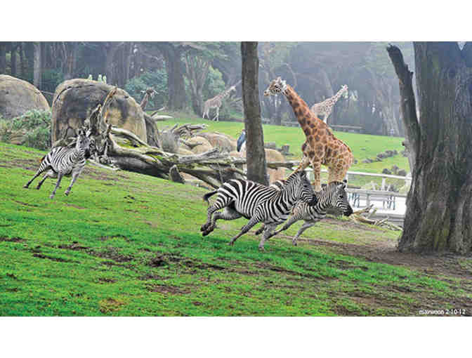 San Francisco Zoo - Tickets and Meal Package