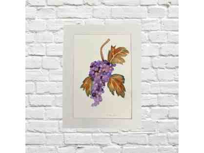 Grapes, Watercolor by Linda Hanrahan