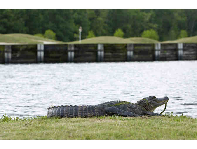 The Atchafalaya at Idlewild - Round of golf for four (4) people