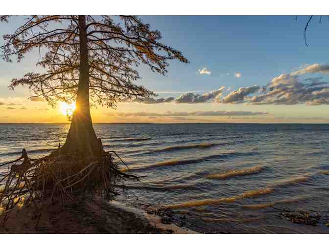 Toledo Bend Fishing Adventure for (4) with Brendon Dubroc of Ghost Host Travel