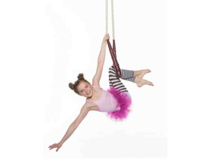 Aerial Warehouse: $100 cash value towards classes or camps