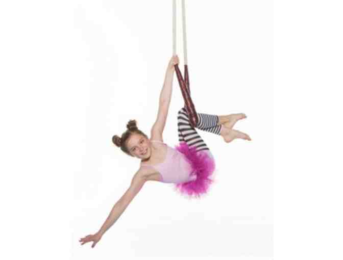Aerial Warehouse: $45 cash value towards classes or camps