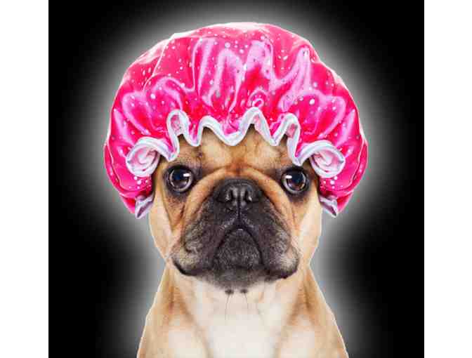 1 Free Dog Grooming at YOUR Location