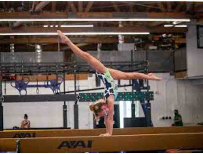 RISE GYM: One month of Gymnastics, Cheer or Ninja Fitness class