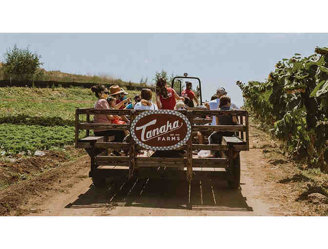 TANAKA FARMS - Seasonal Farm Tour valid for up to $110