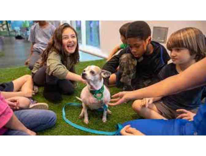 One week of camp at Wallis Annenberg Petspace Camp