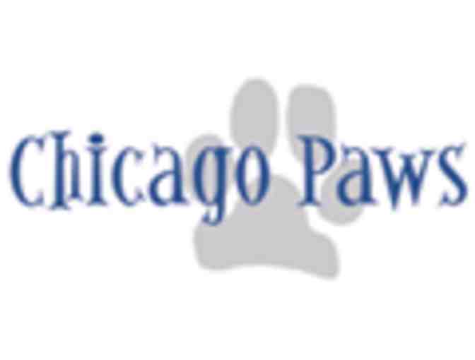 Private dog training with Jeff Millman of Chicago Paws (2) - 60 minute sessions