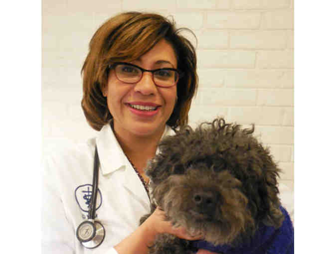 LPHS student's day in the life of a Veterinarian