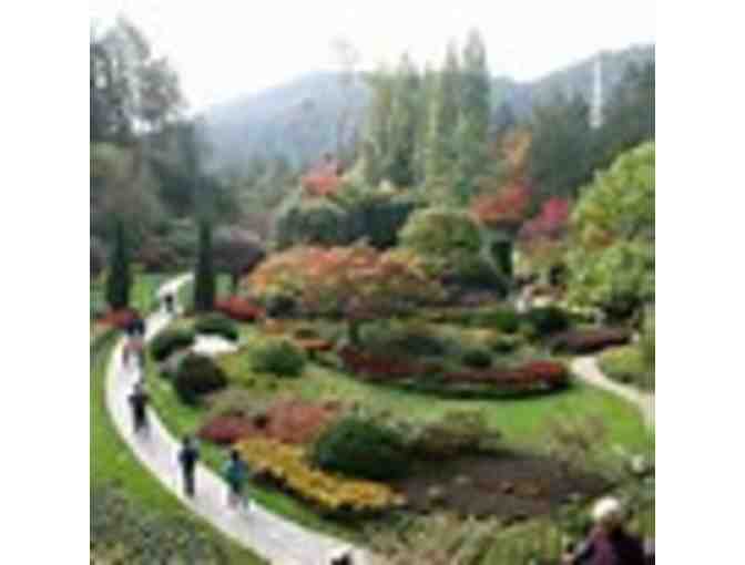 Sunken Gardens, St. Petersburg, FL