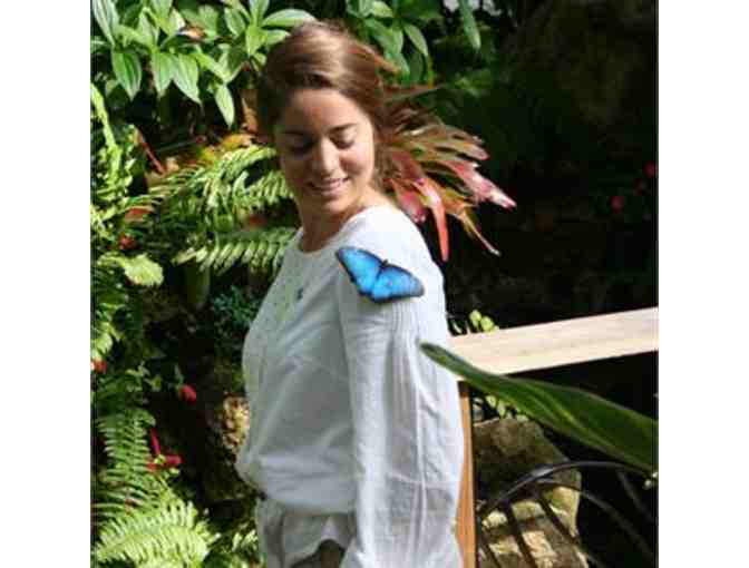 Butterfly Rainforest at Florida Museum of Natural History