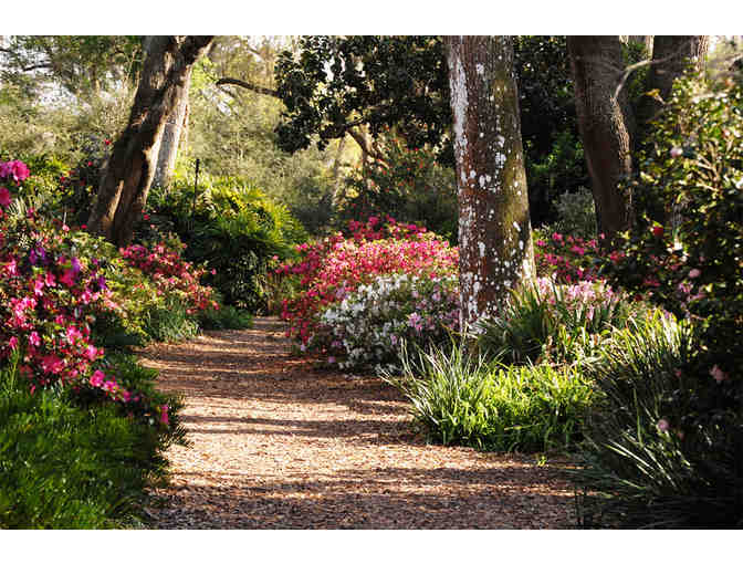 Bok Tower Gardens, Lake Wales, FL