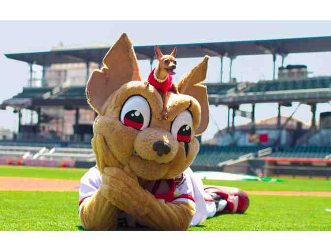 El Paso Chihuahuas!