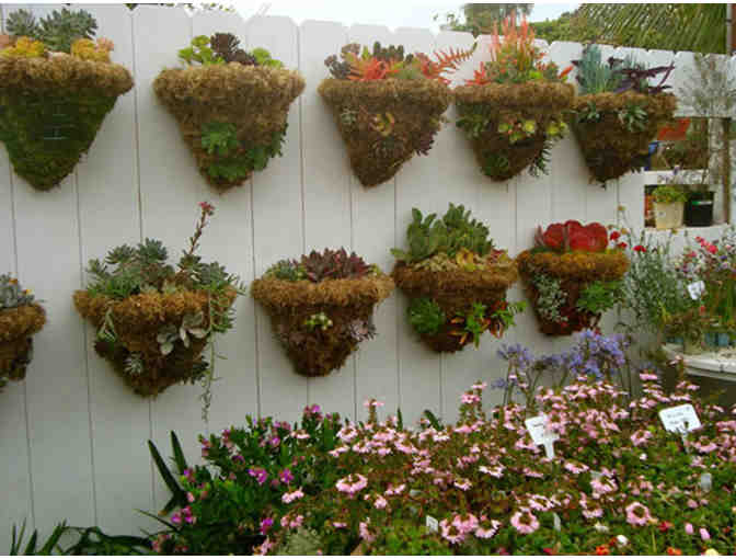 Gardens by the Sea Nursery Gift Certificate ($35 Value)