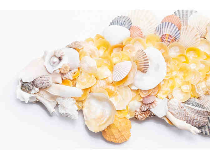 'Shellfish' By Pamela Haley