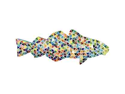 The Rainbow Cod By Tali Minelli