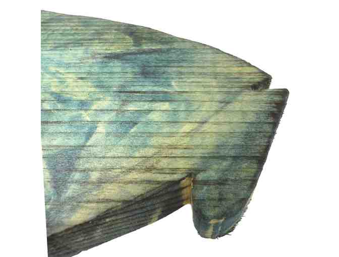 Plenty Of Fish In The Sea? By Kiara Brown