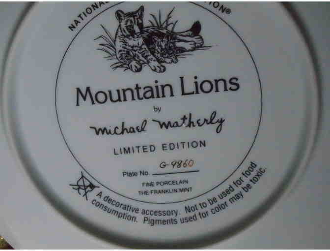 Franklin Mint - Mountain Lions - Limited edition collectible