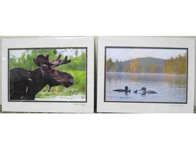 Two photographs by Rick Libbey, 'Boss Revisited' (moose) and 'Family Portrait' (loons)