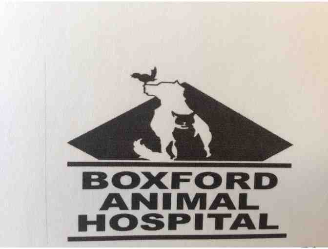 One Free Physical Exam at Boxford Animal Hospital   (exp. Jan.1,2021)