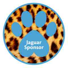 Jaguar Sponsors
