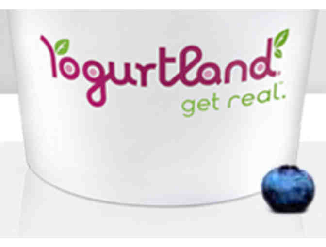 Yogurtland - 25 cups of yogurt!