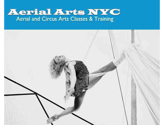 Aerial Arts NYC - One class