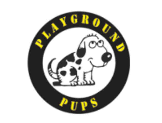 Playground Pups - One Grooming